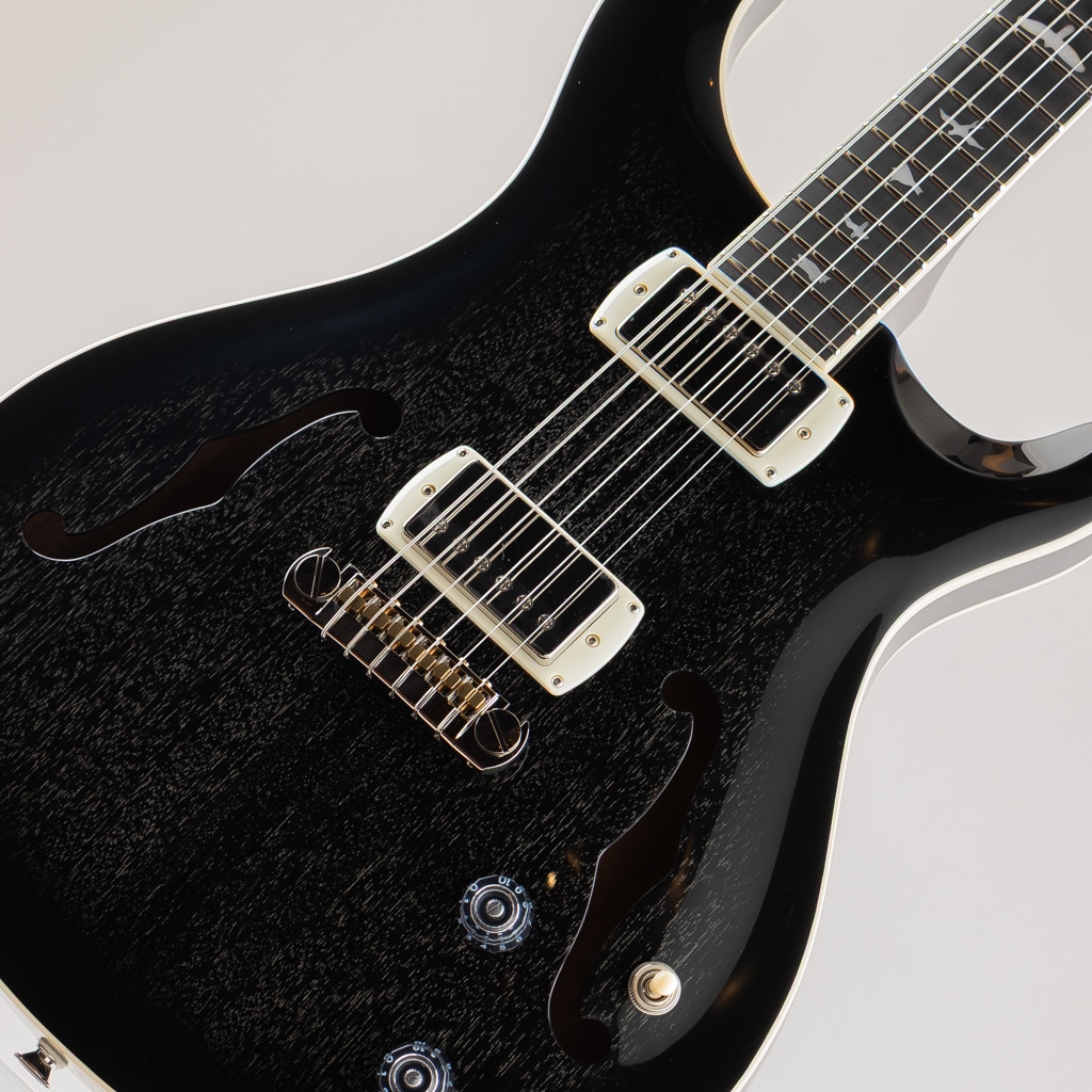 SE Hollowbody Standard/Dog Hair Smokeburst【2025】