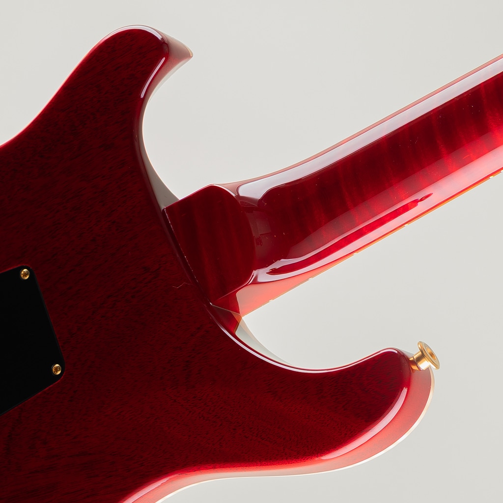 Wood Library Custom 24 10Top Ruby Japan Exclusive 2026: エレキ