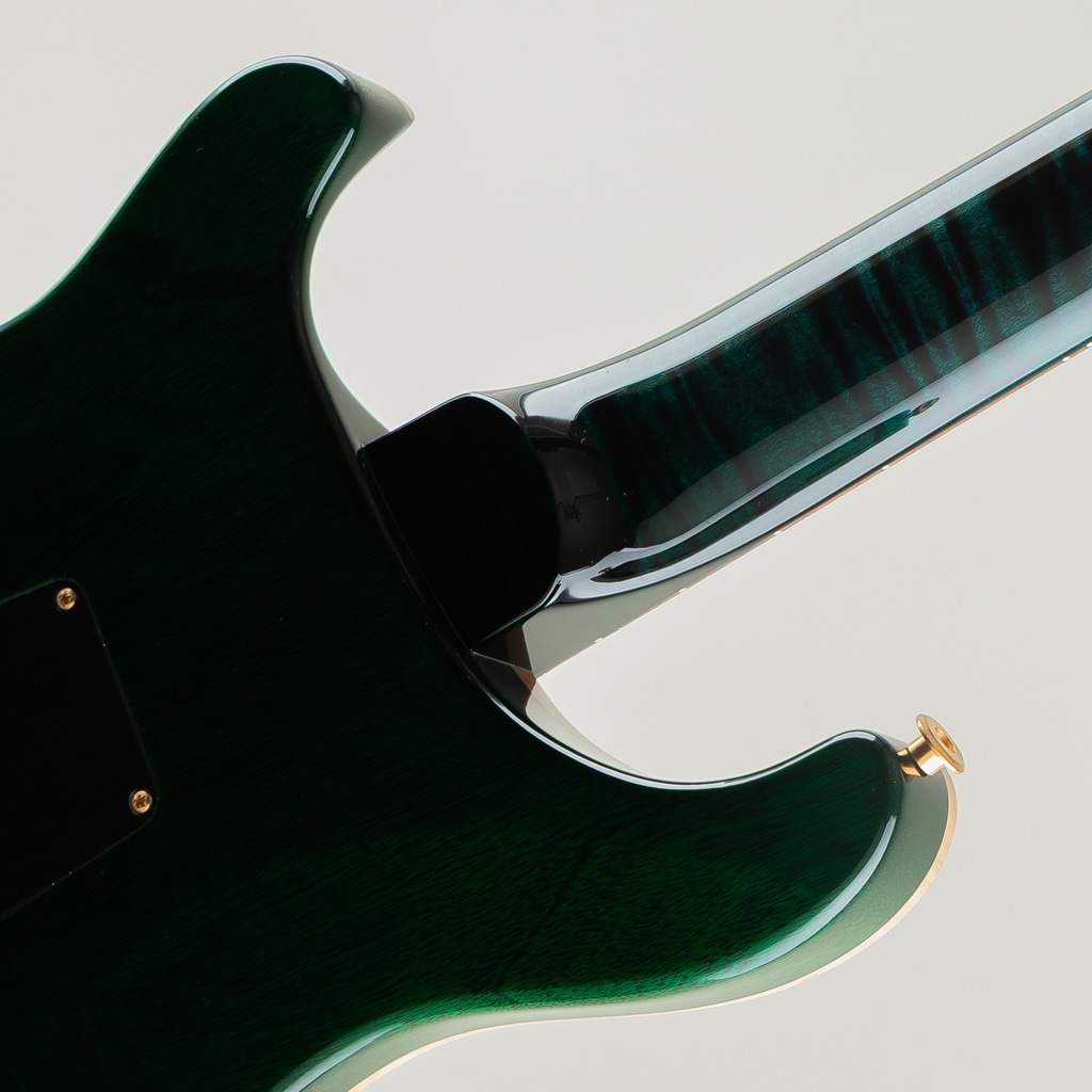 Wood Library Custom 24 10Top Teal Black Japan Exclusive 2026