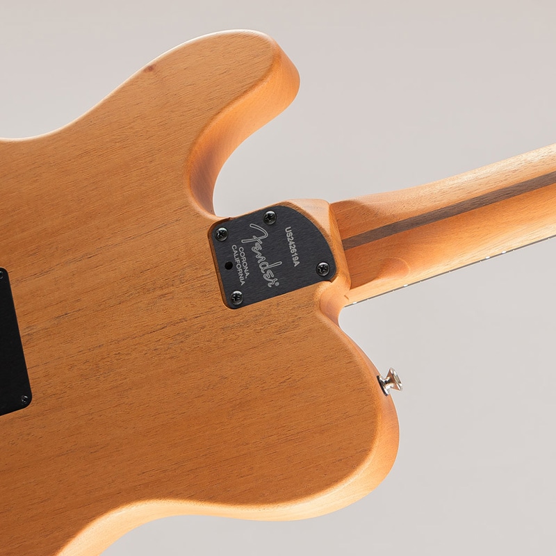 American Acoustasonic Telecaster/Natural/Ebony Fingerboard