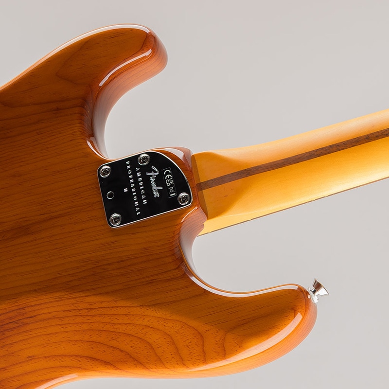 American Professional II Stratocaster /Roasted Pine/Rosewood Fingerboard