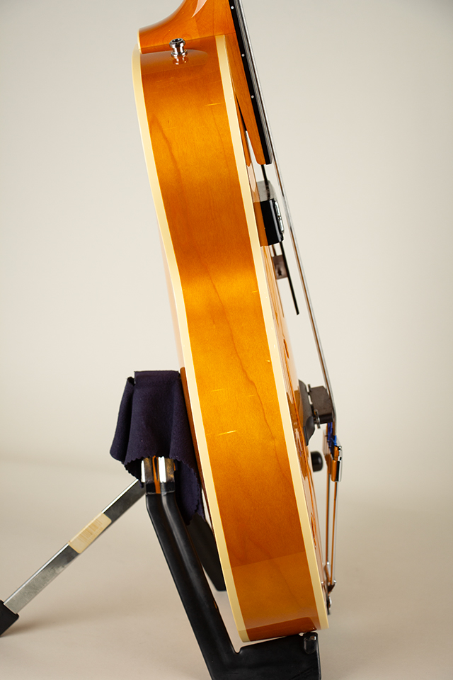 Ladybug-Bass SM Flet Less/Vintage Natural【S/N:RZO926】