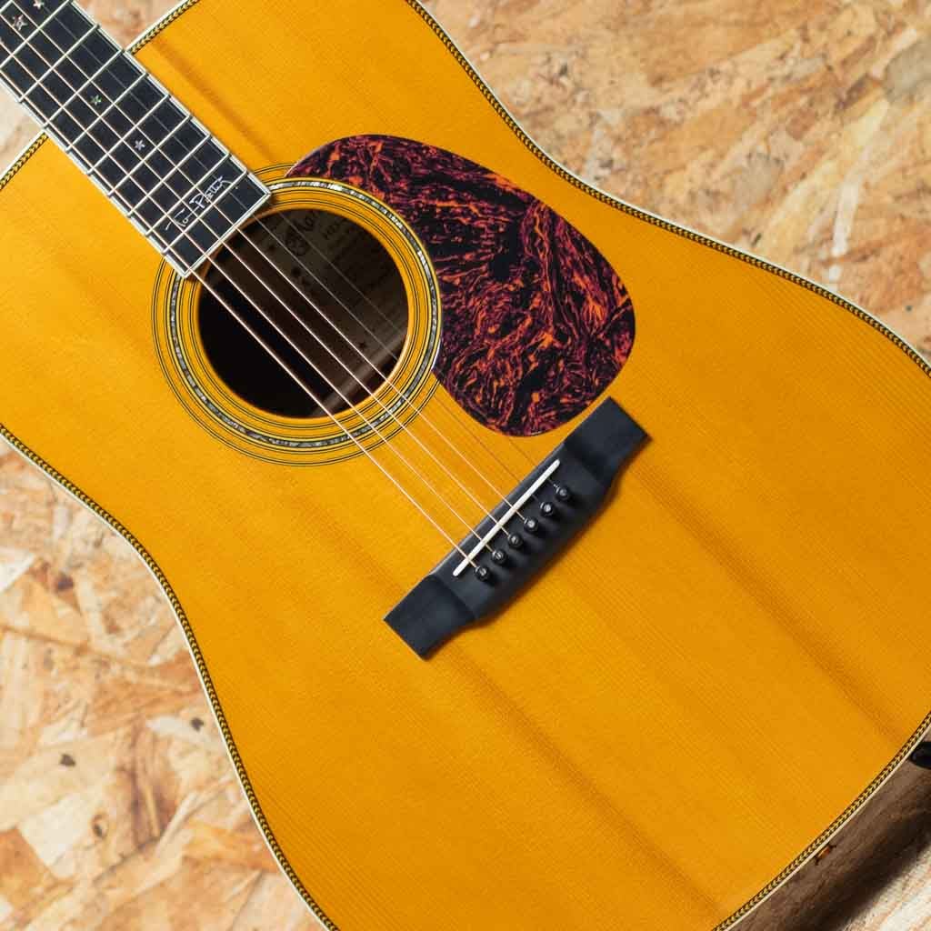 HD-40 Tom Petty 2004