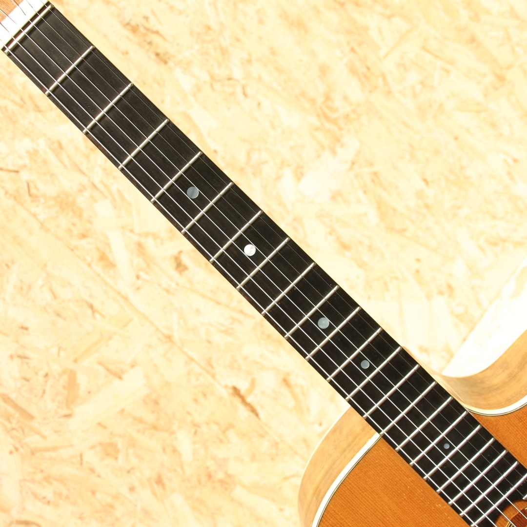 マカフェリギター アコースティックギター Amazon | ARIA MM-100/D アコースティックギター マカフェリ