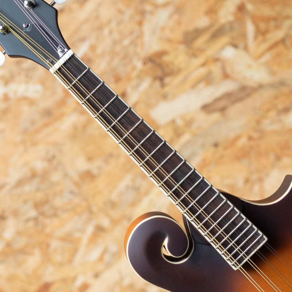 Inspired by Gibson F-5 Studio VS