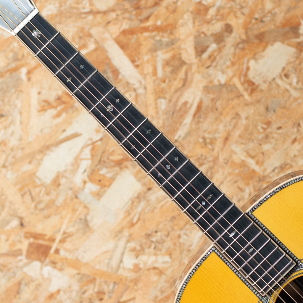 CTM D Adirondack Spruce×Cocobolo 2020