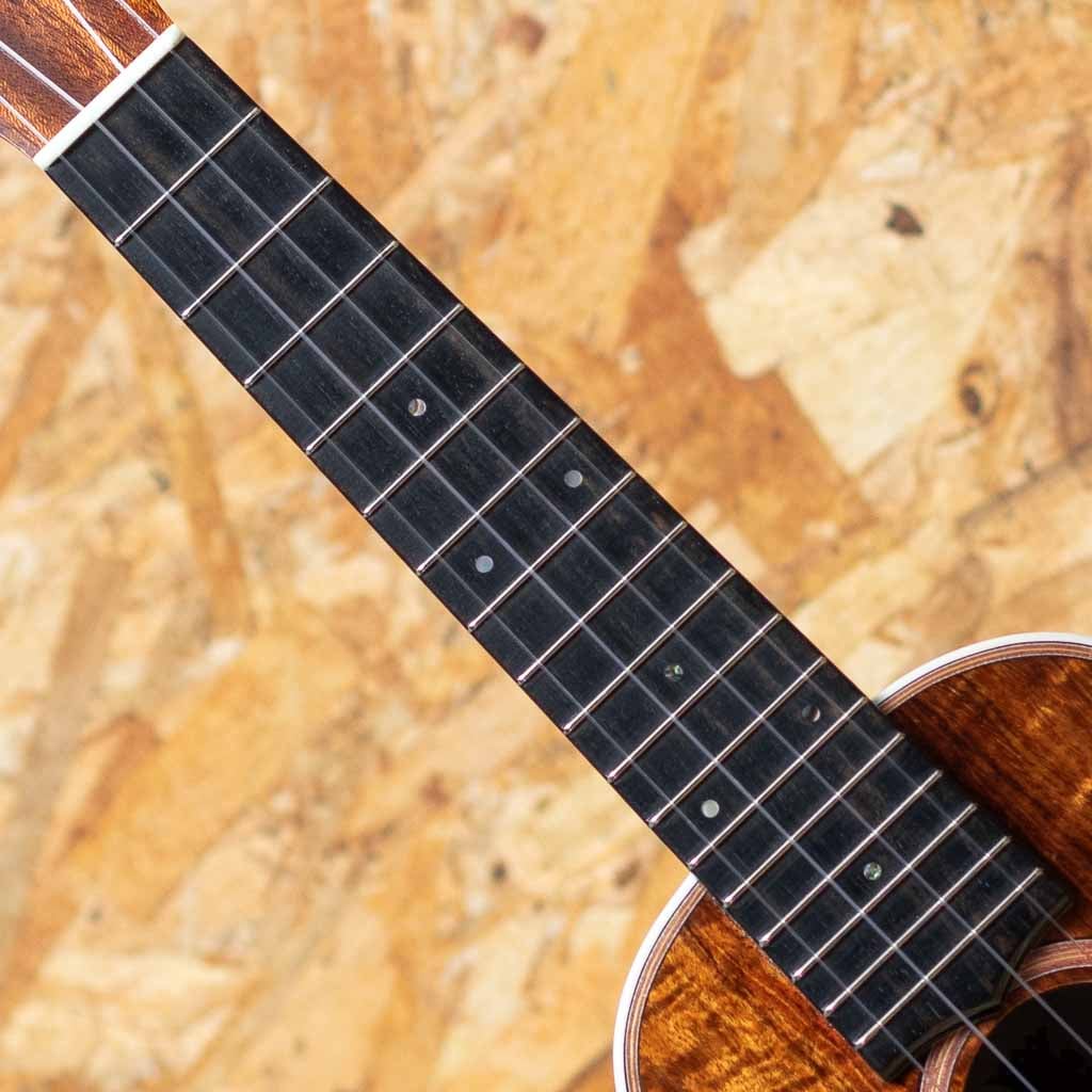 Custom Soprano Model