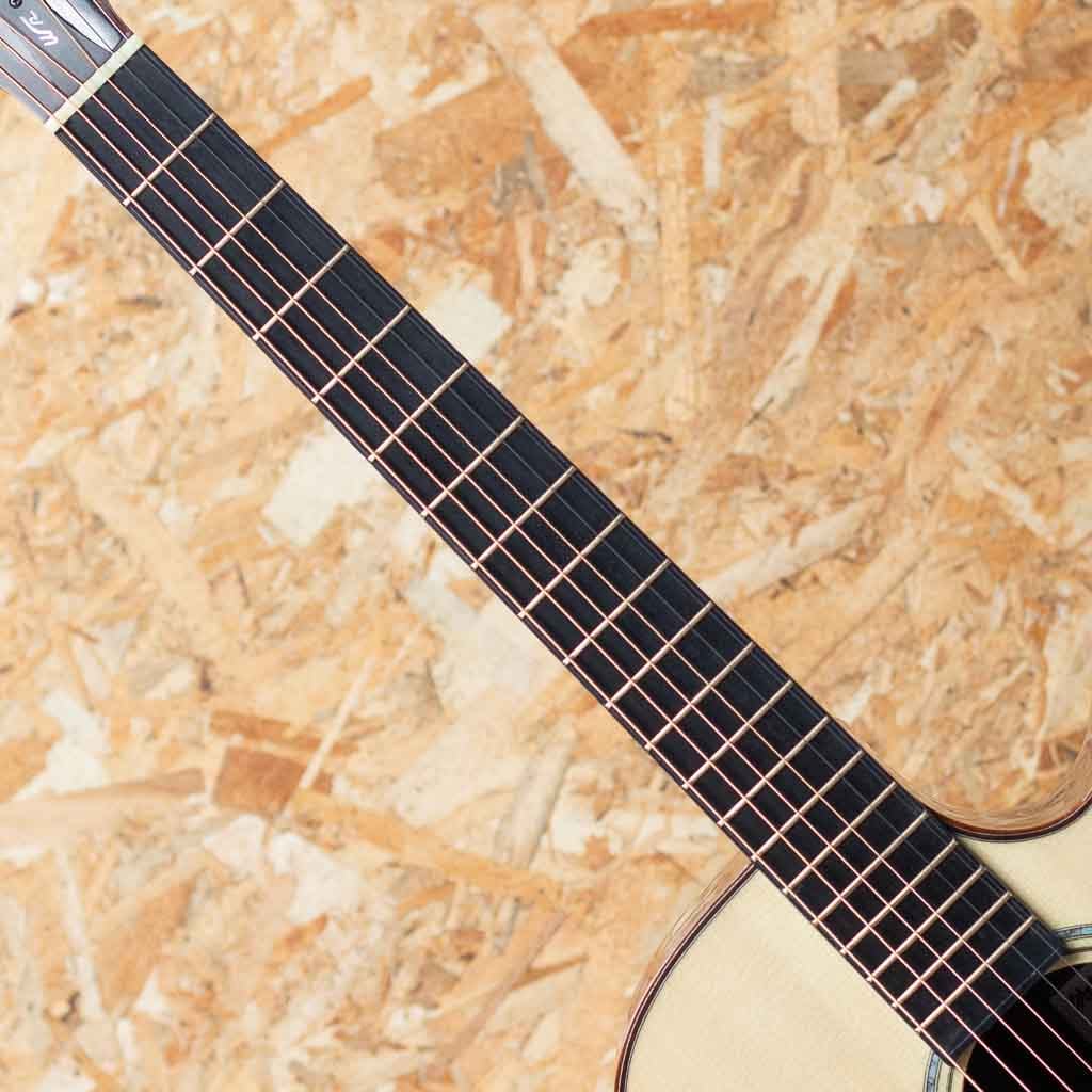 Deep Arte Cutaway Kishibe Masaaki Model