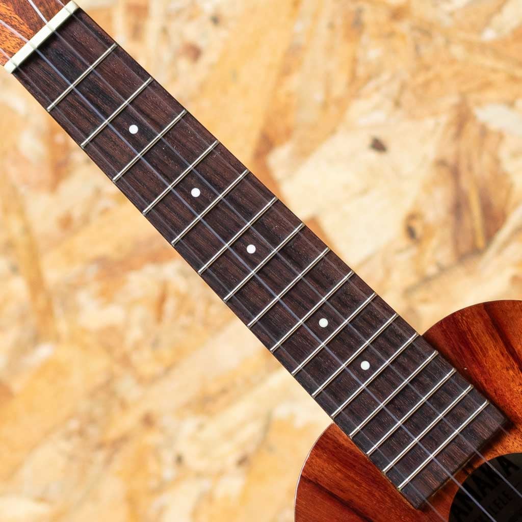 HF-1 Soprano 2022