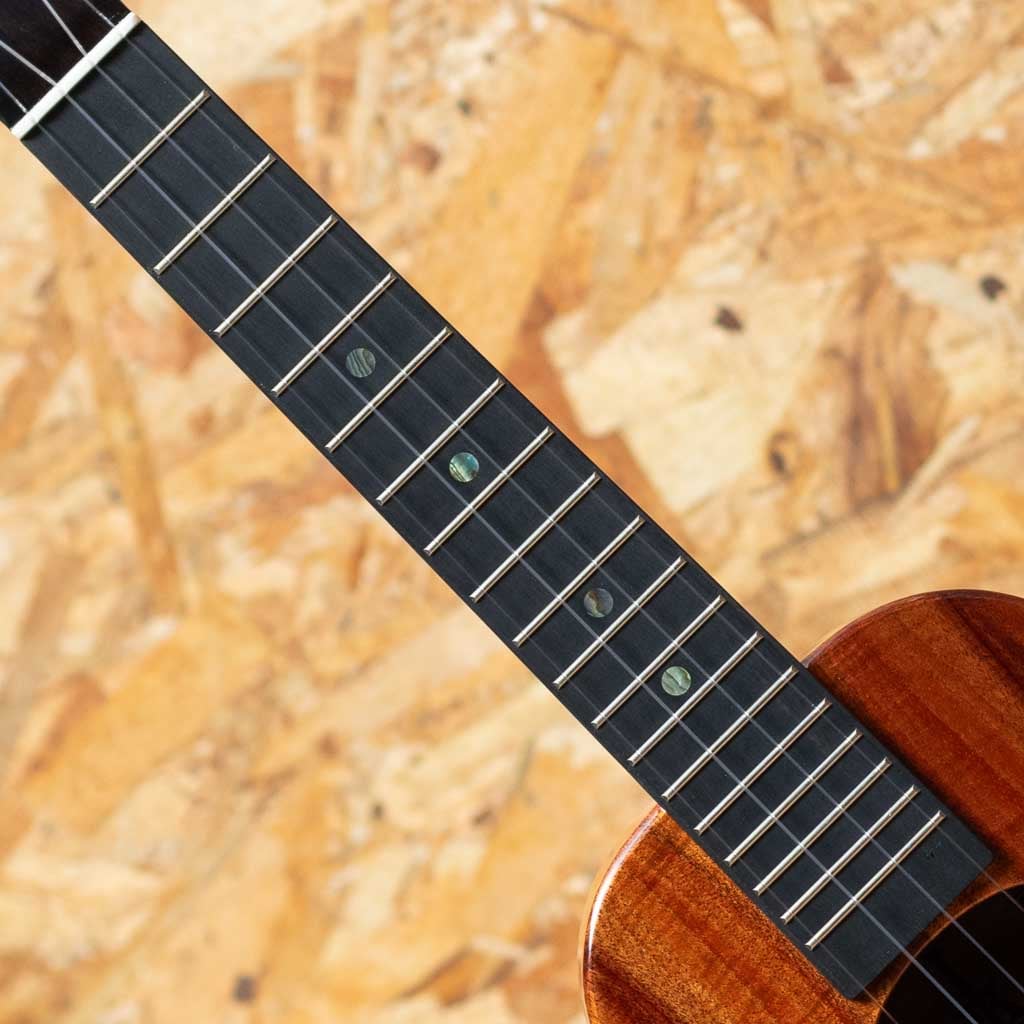 KCM-00 Special Issue Concert