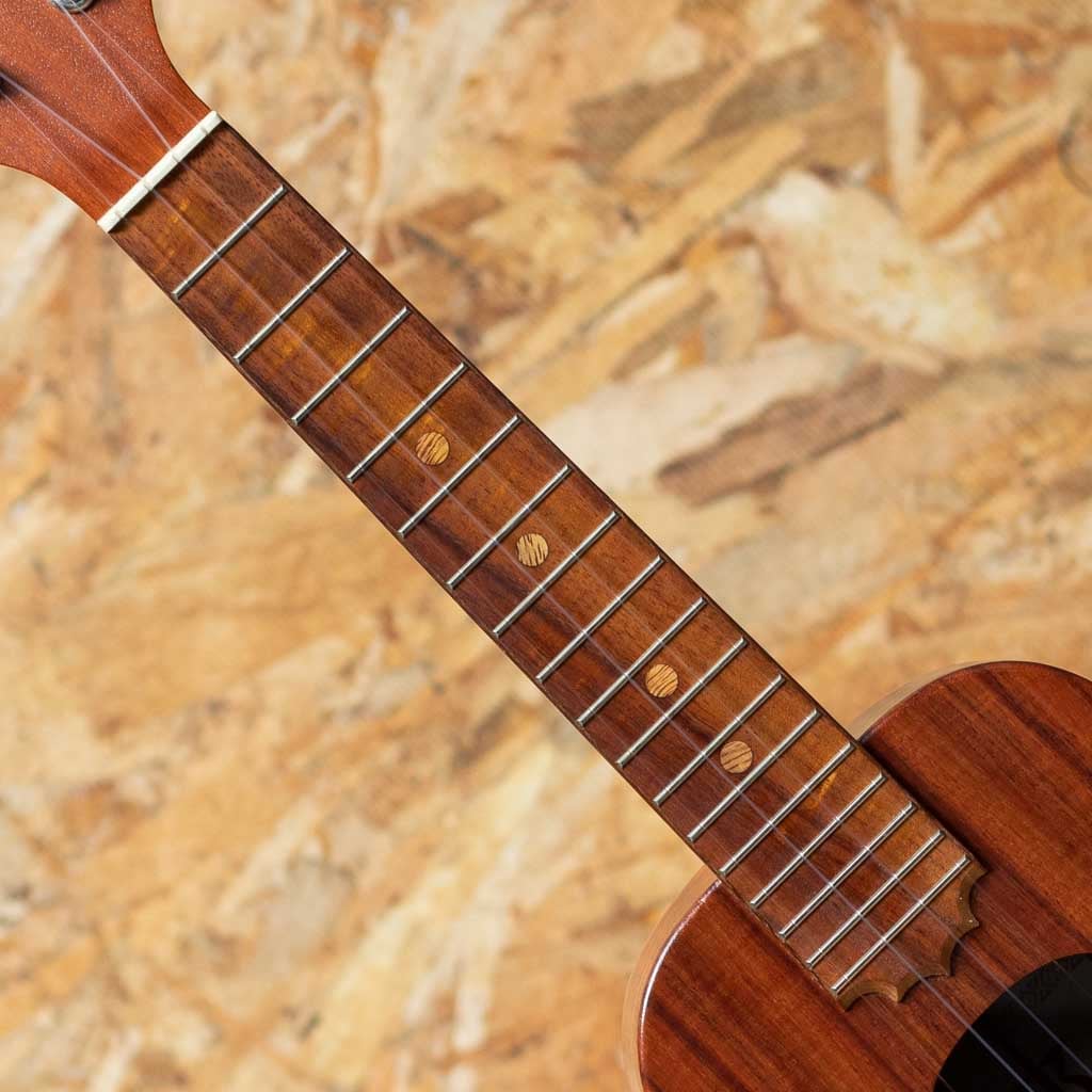 KCM-10 Pikake Concert 2014