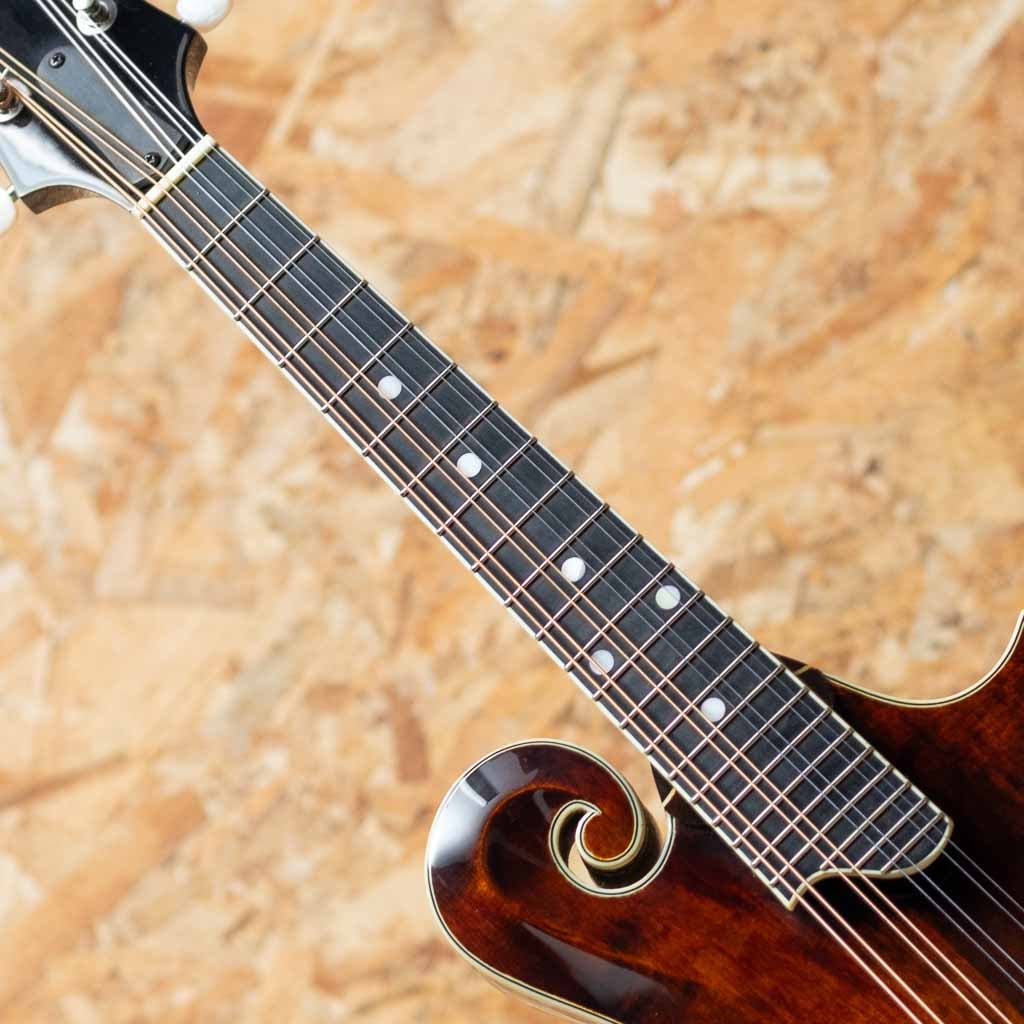 MD-515 A.Red 2013: Folk Stringed Instruments｜三木楽器公式通販サイト
