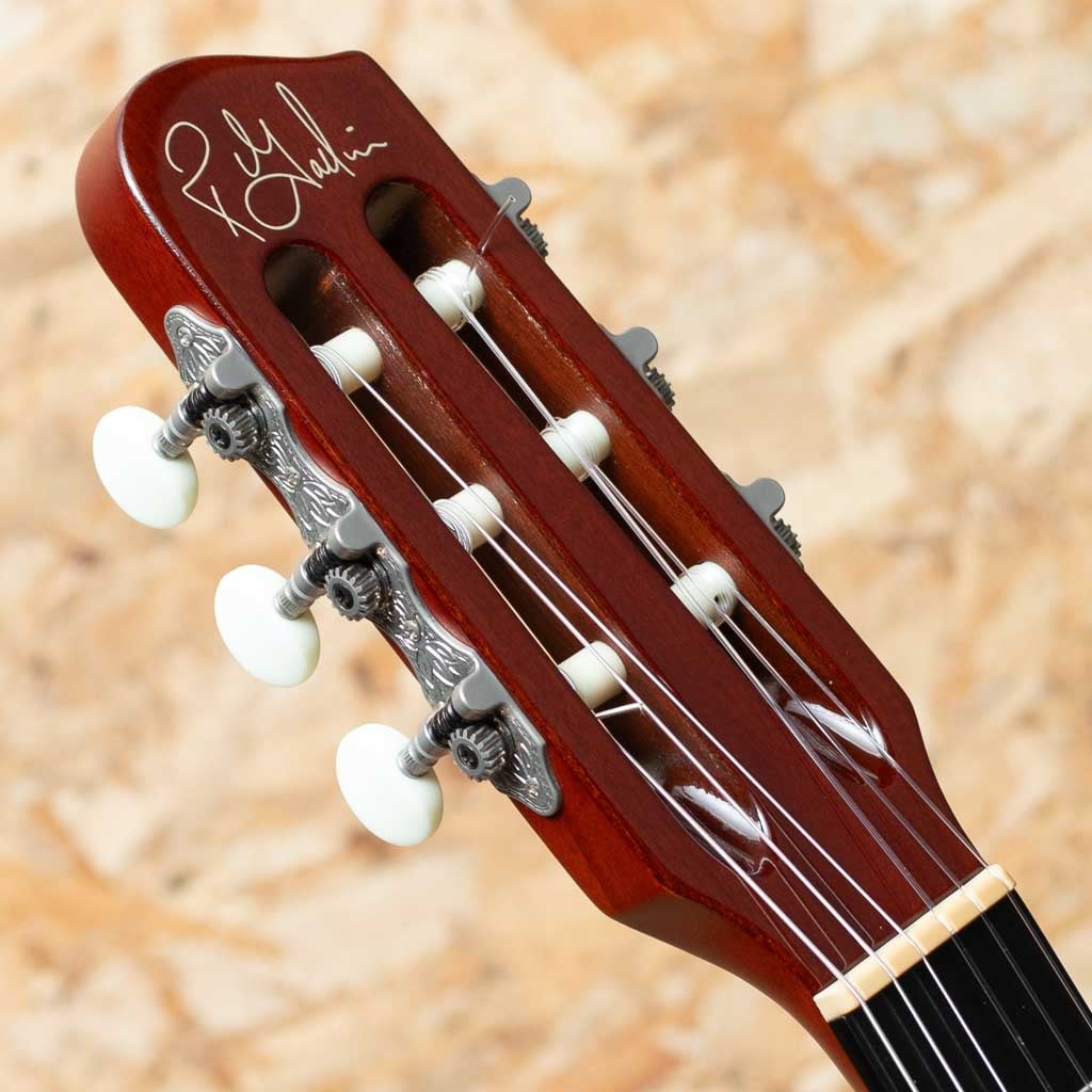 Multiac Nylon SA NAT w/Roland GR-55
