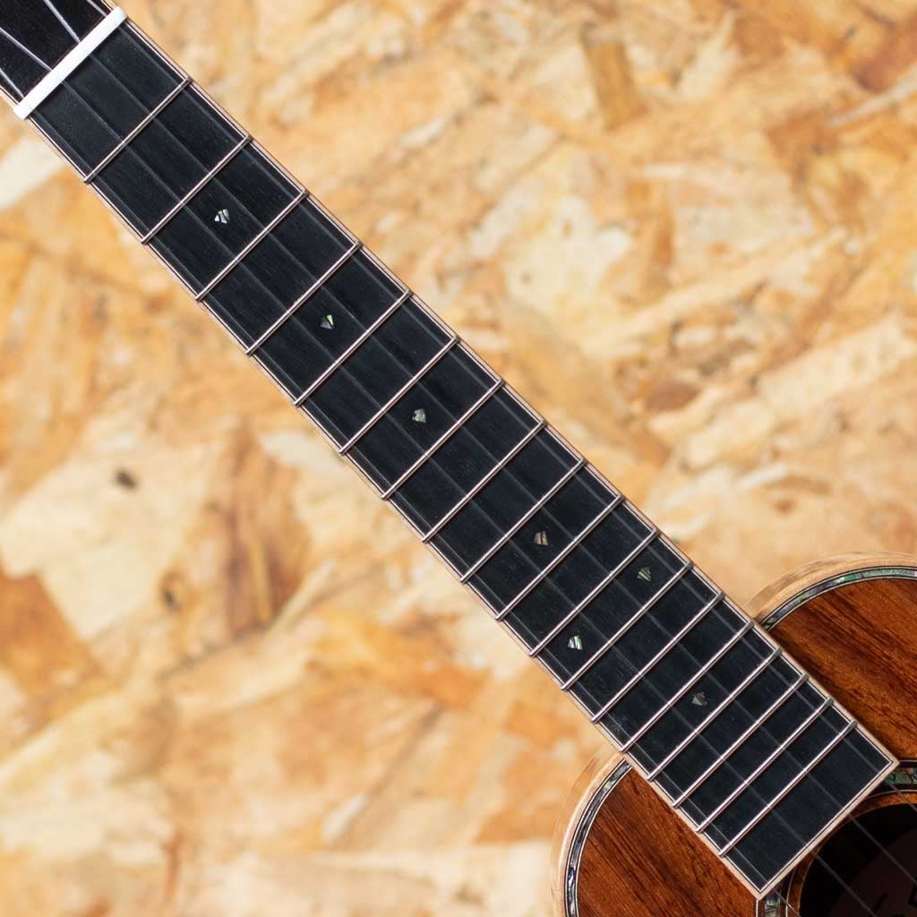 THC-2233 CST Concert