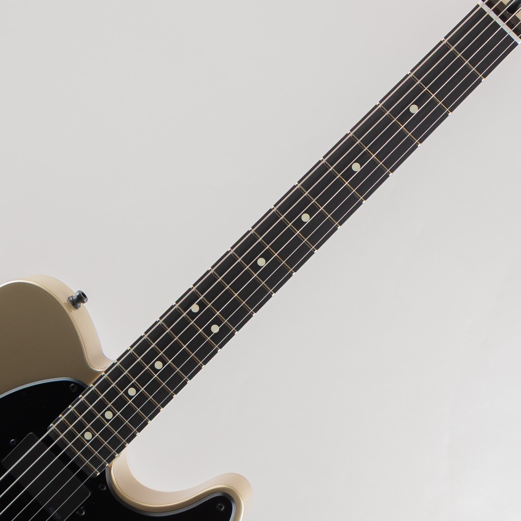 Limited Edition Jim Root Telecaster, Ebony Fingerboard, Shoreline Gold
