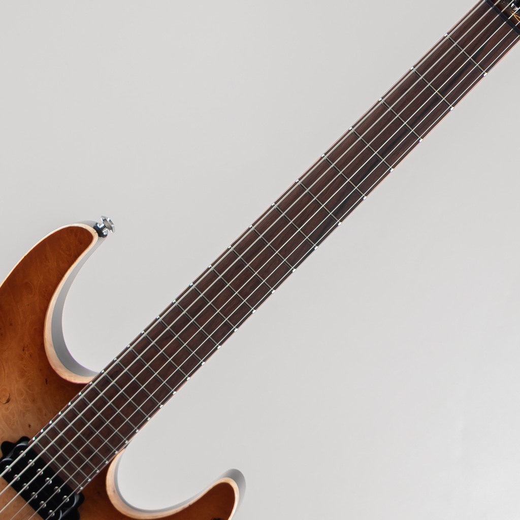 Custom Modern Carve Top Burl Maple Top Natural Burst w/Alder Body/Pau Ferro Neck