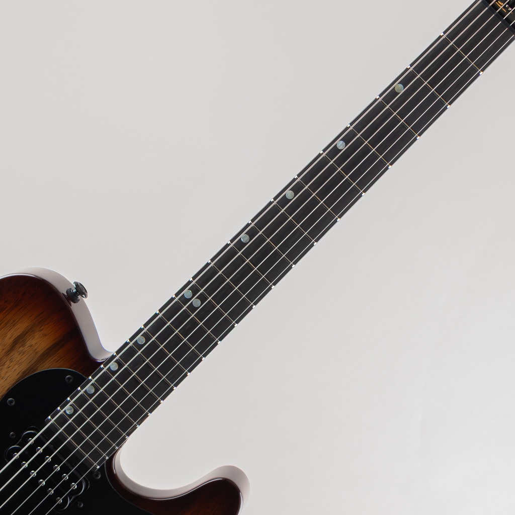 Custom Classic T Brown Burst w/Black Limba Body/Neck