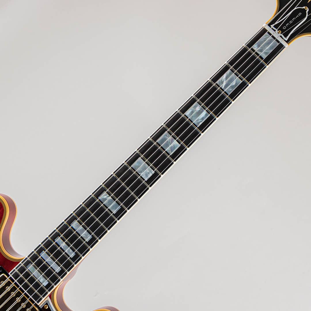 ギター DeliciousTaylormade BeeFace NKT vs AC ギター DeliciousTaylormade BeeFace NKT vs AC ギター