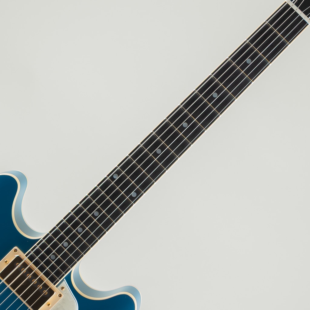 TA-TONIC / Lake Placid Blue: エレキギター｜三木楽器公式通販サイト