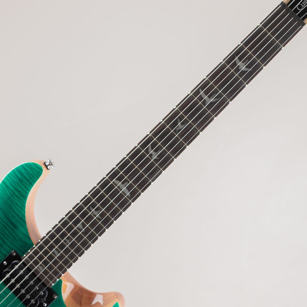 SE Custom 24-08/Turquoise【2024】