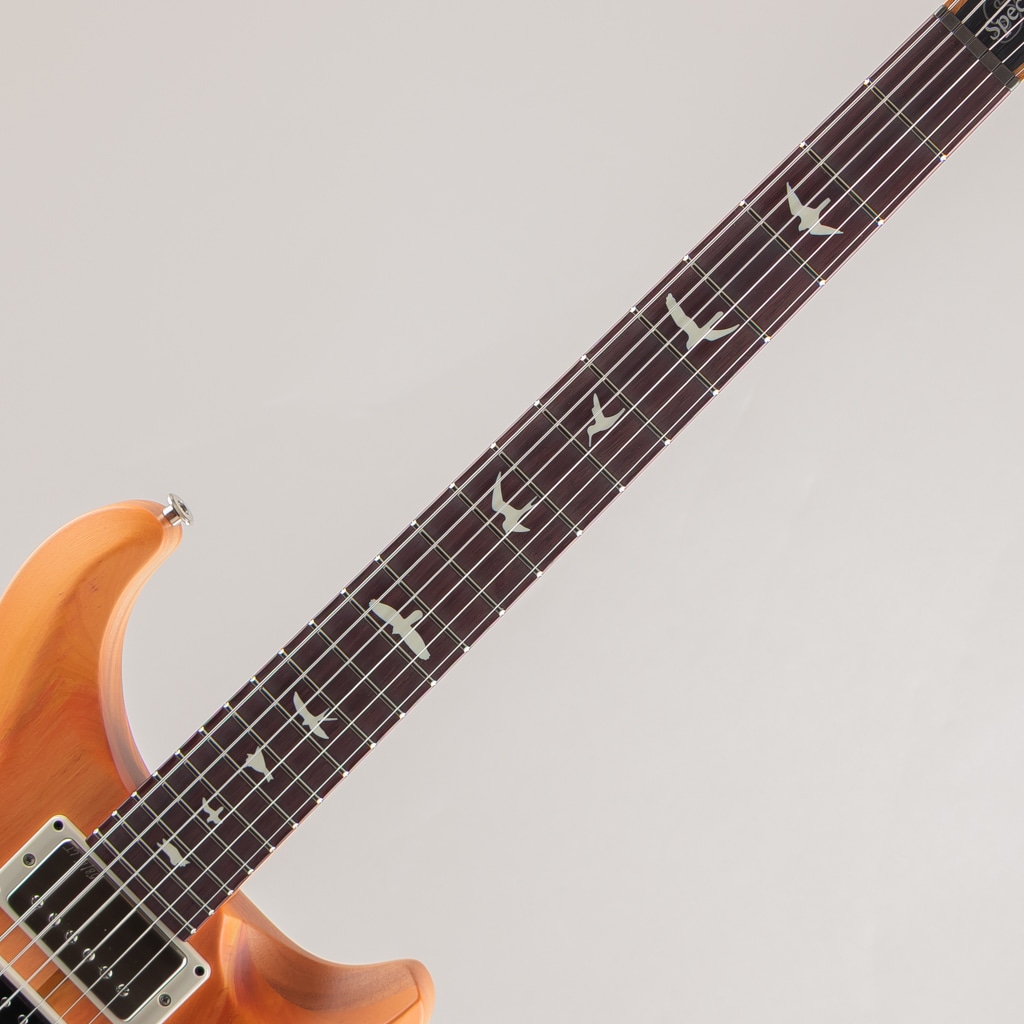 S2 Special Semi-Hollow Reclaimed Limited Edition【全世界700本限定】2025 S2085719【3.320kg】 アメリカ村店