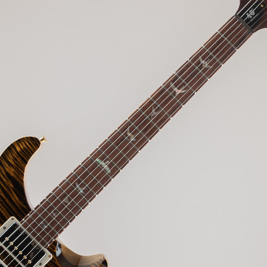 40th Aniversary Special Semi-Hollow Limited Edition Yellow Tiger 2025