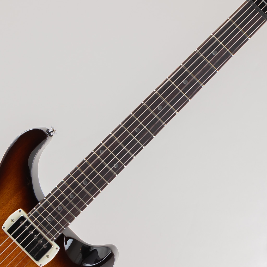 SE DGT Standard/McCarty Tobacco Sunburst【2025】