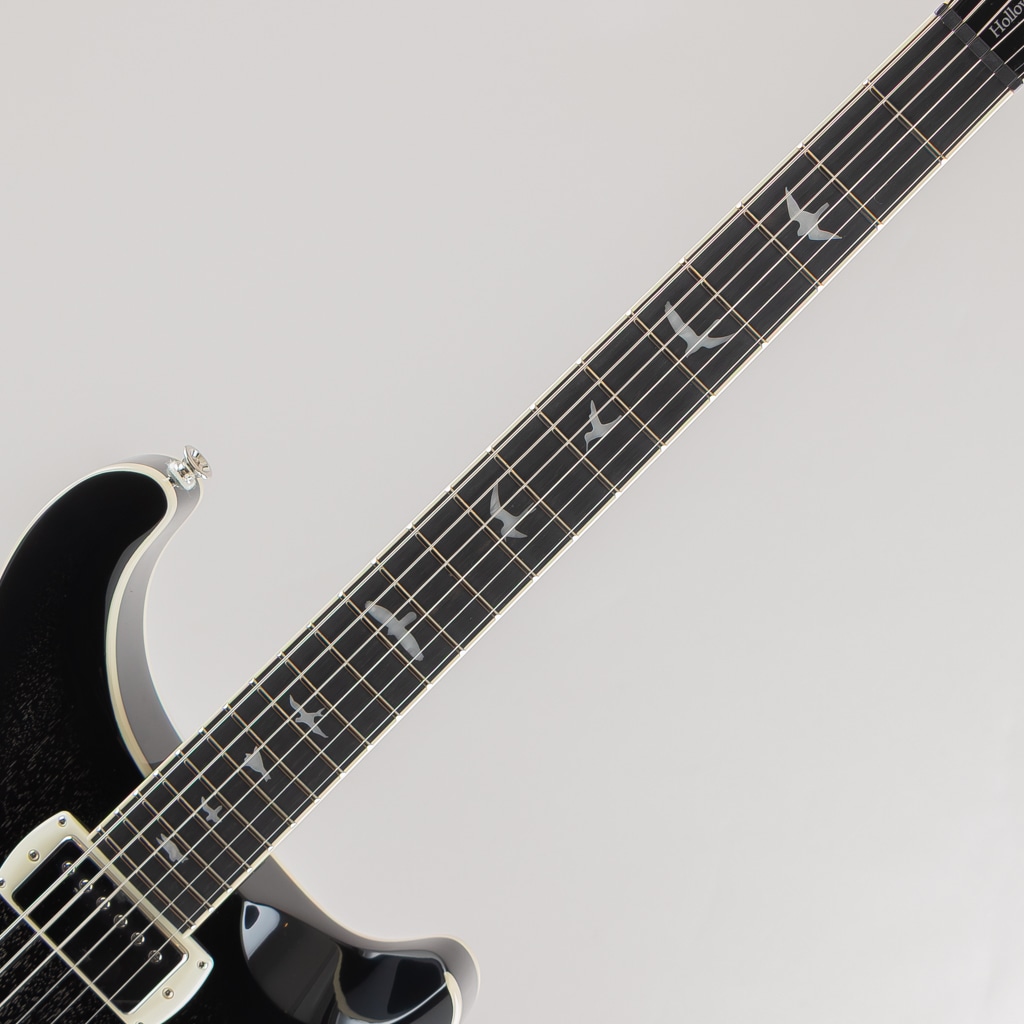 SE Hollowbody Standard Piezo/Dog Hair Smokeburst【2025】