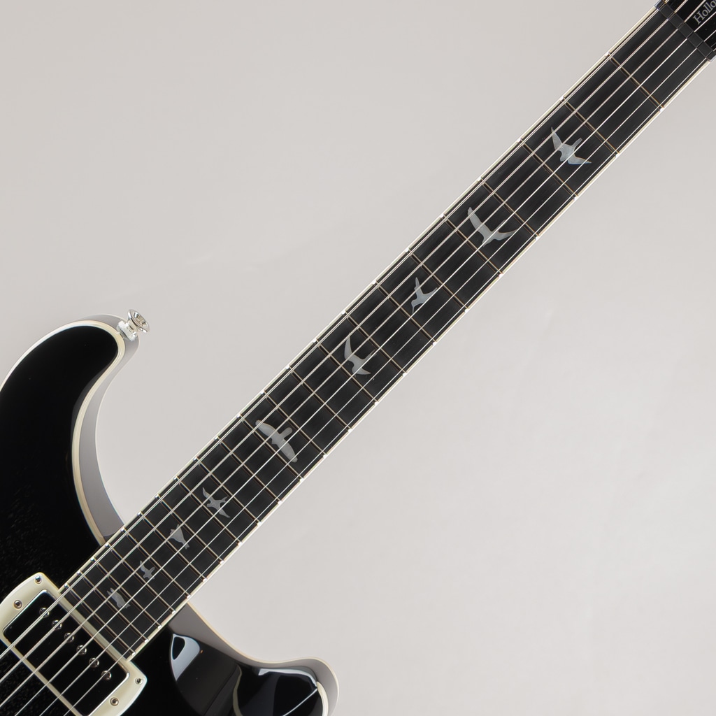 SE Hollowbody Standard/Dog Hair Smokeburst【2025】