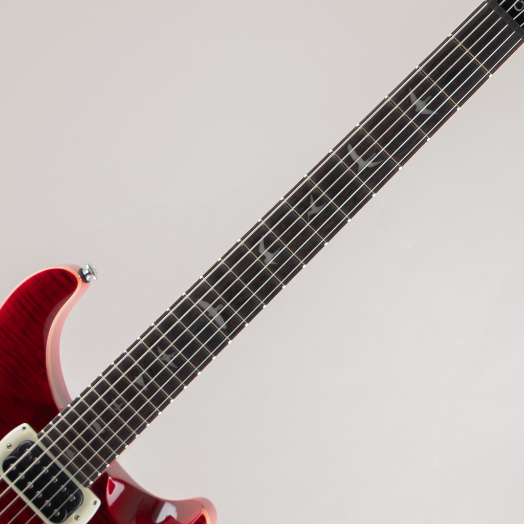 SE Custom 24 /Ruby【2025】