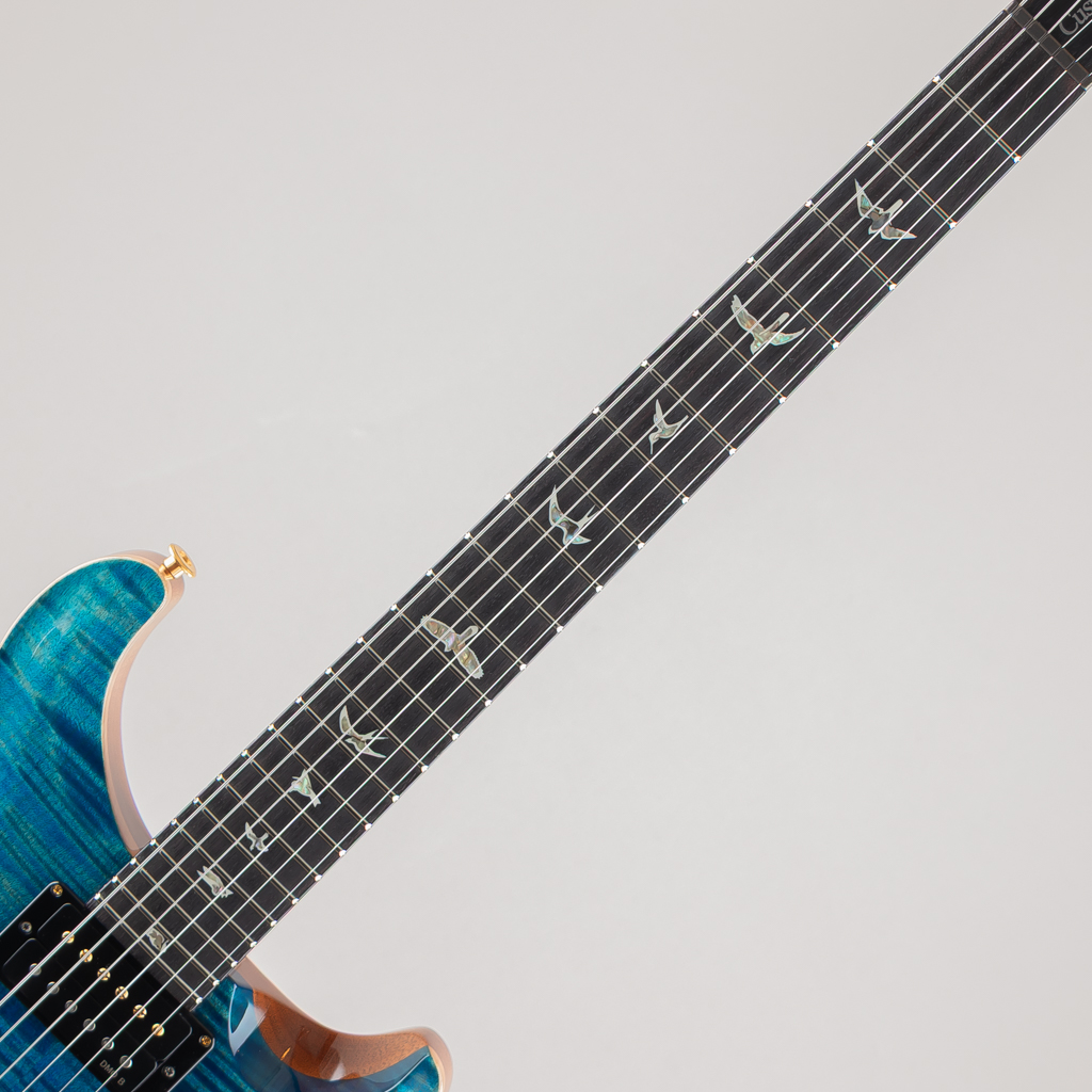 Custom24 10Top "DMO" Pickups Artic Blue 2025