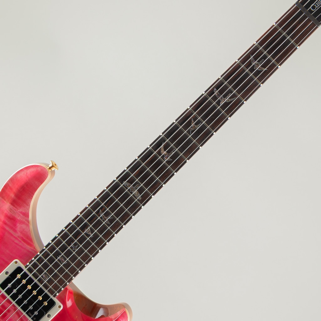 Wood Library Custom 24 10Top Bonni Pink Japan Exclusive 2026