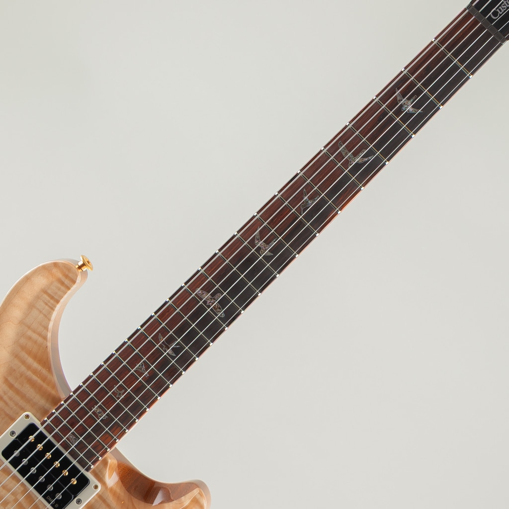 Wood Library Custom 24 10Top Natural Japan Exclusive 2026: エレキ