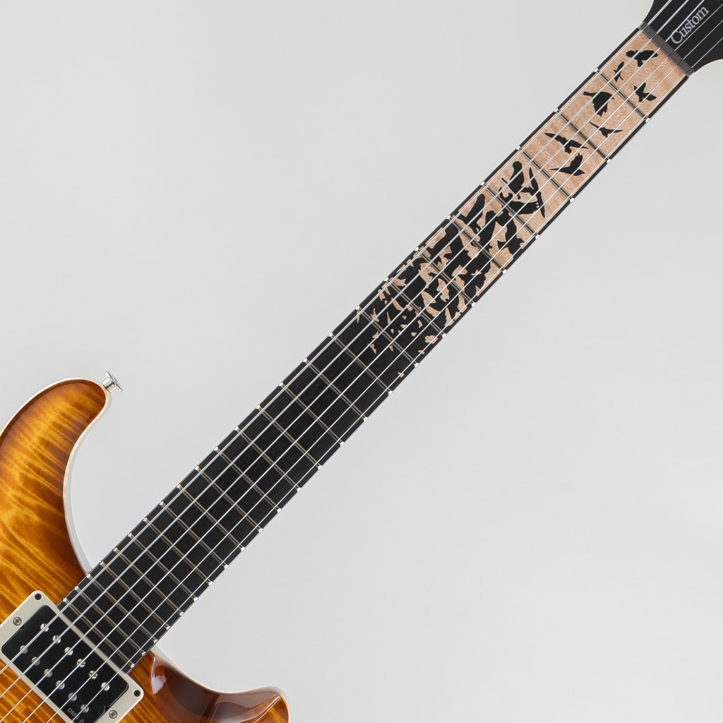 セール！ 洋書『写真で見るエレキギターとエレキベースの歴史』グルーン Custom 24 Birds of a Feather Limited - PS - Honey Gold 2026