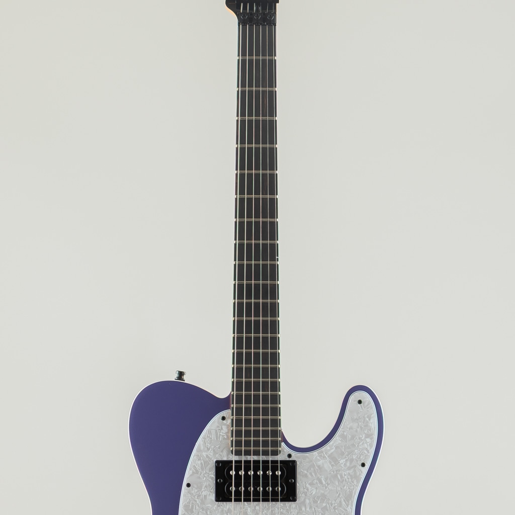 Limited Edition Player Fusion Telecaster HH Floyd Rose, Ebony