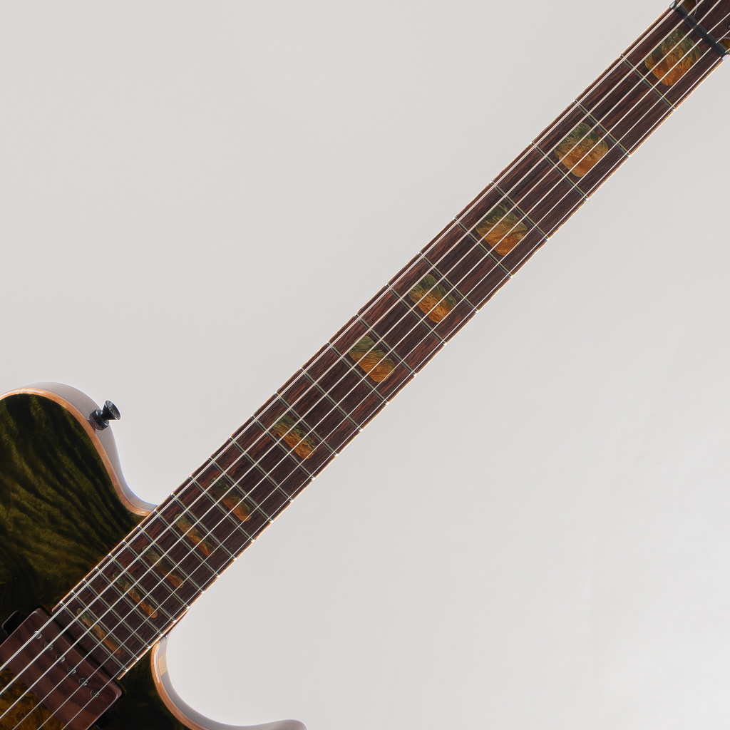 LTD MOTIVE D-13