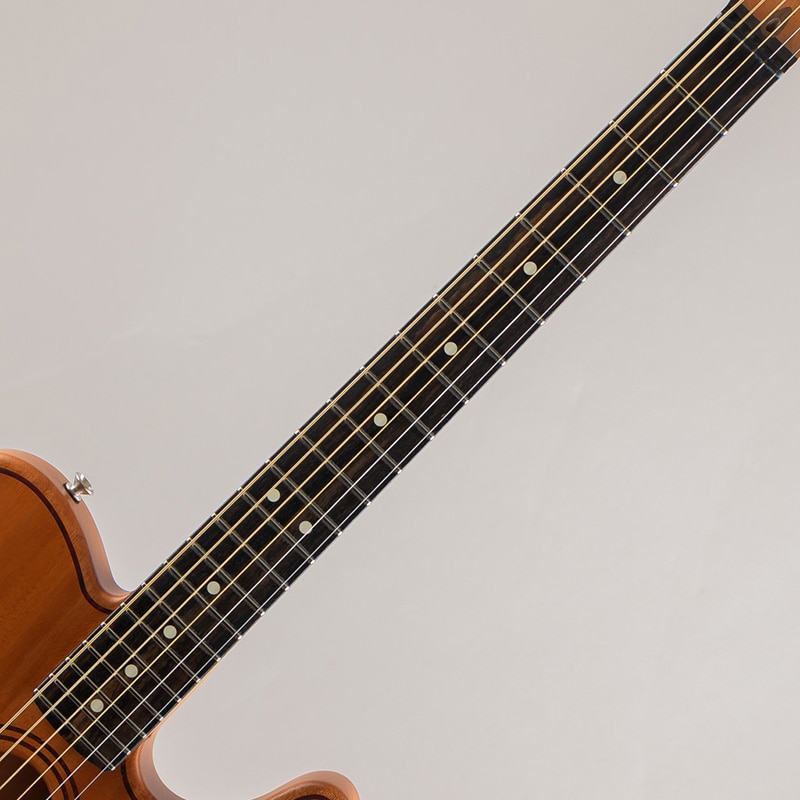 American Acoustasonic Telecaster All-Mahogany/Natural/Ebony Fingerboard