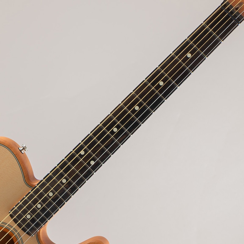 American Acoustasonic Telecaster/Natural/Ebony Fingerboard