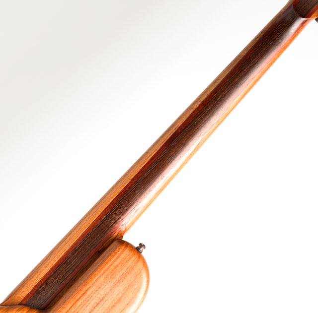 Halo 5strings Olive Top & Beeswing Solomon padouk