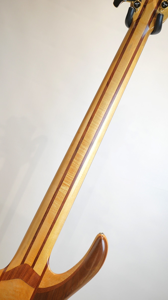 BSR5TNW-CM / 19mm Wide Pitch