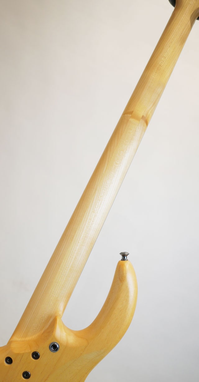 Gold Series e-volution4 Spalted Maple -Fretless-