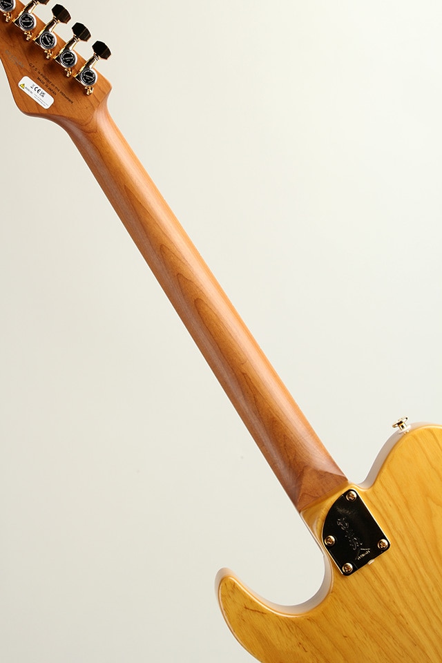 Expert ILIAD EW2-HS-RM / Vintage Natural【S/N H250486】: エレキ