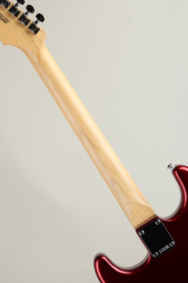 Standard Stratocaster MN Candy Cola【S/N : ISFD25002024】