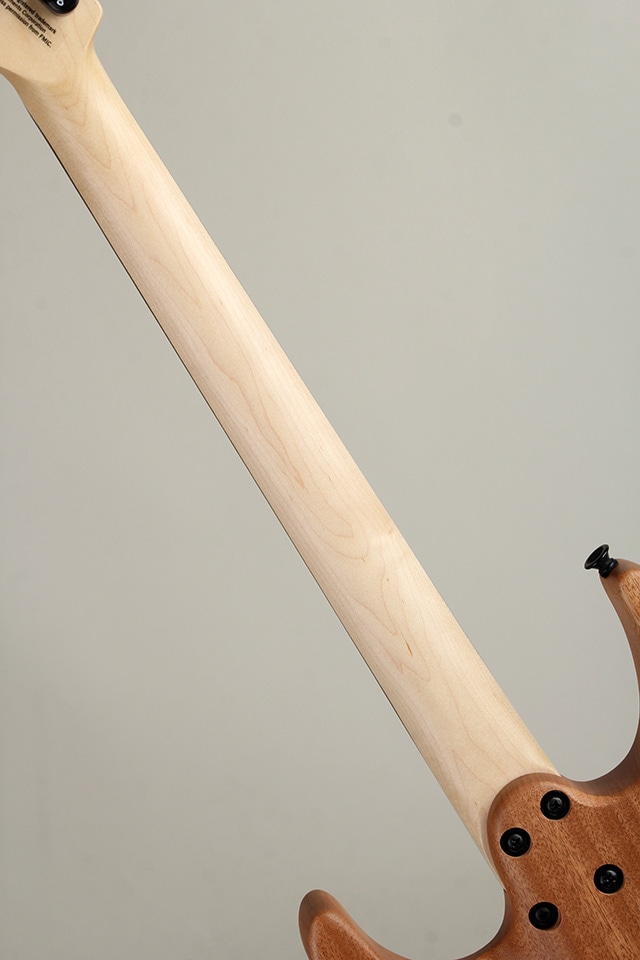 Pro-Mod DK24 HH HT E Mahogany with Poplar Burl, Ebony Desert Sand【S/N MC25003461】