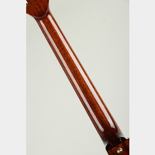 Ladybug Mahogany-C Brown【S/N:RZO934】