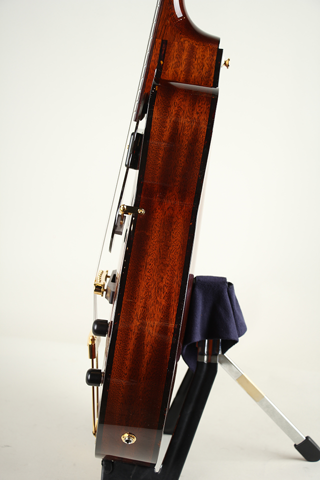 Ladybug Mahogany-C Brown【S/N:RZO929】