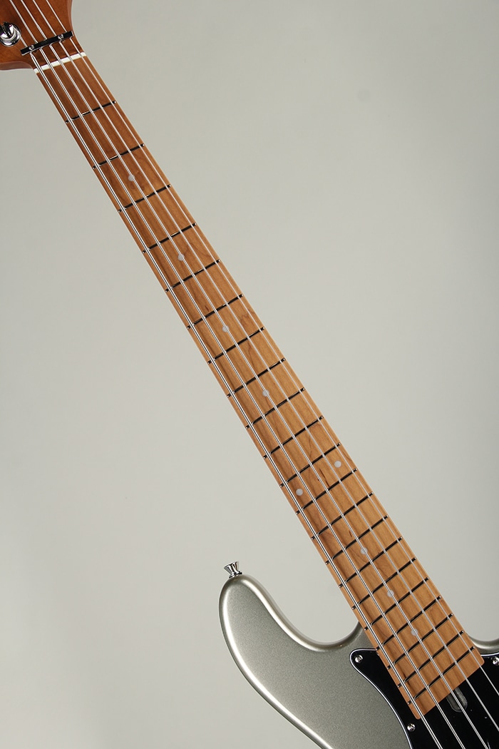 WJB5-1MS-DX-AC RSM/M MDG