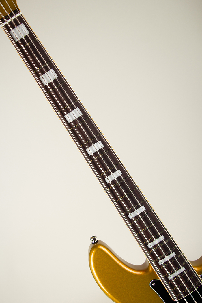 Standard 5-Strings / ALDER / GOLD