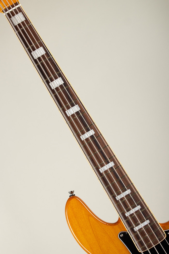 Standard 5-Strings / ALDER / Vintage Natural
