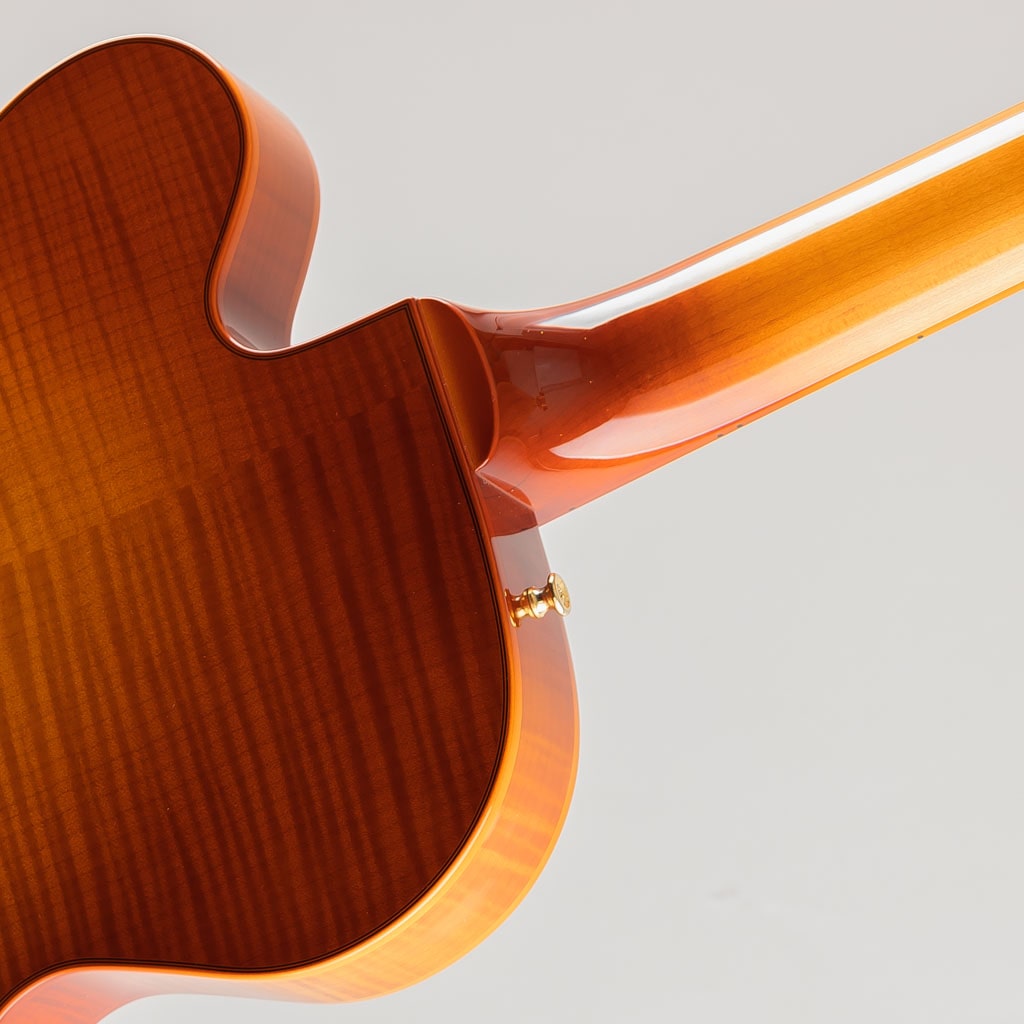 Jazz Line DQ-JZ-Jr / Violin Burst